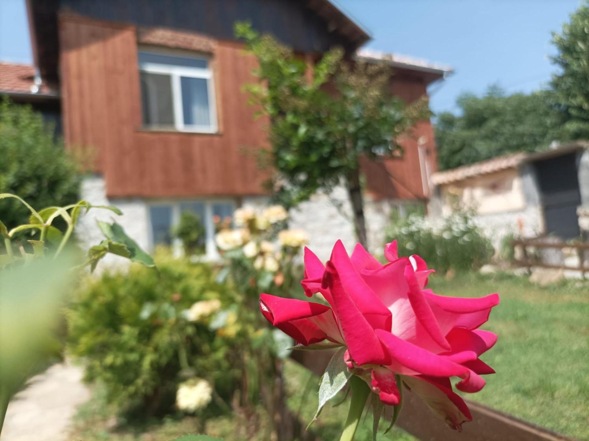 Villa Nina In Kramolin 외부 사진